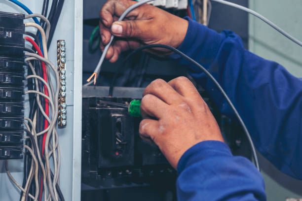 Best Electric Panel Repair  in Rankin, TX